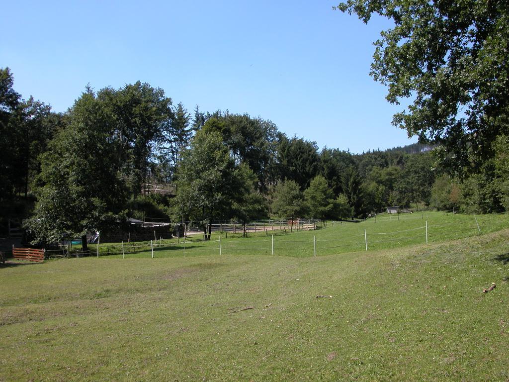 Pension Haus Am Walde Schmallenberg Kültér fotó