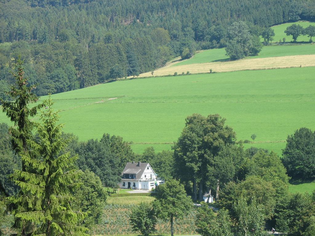 Pension Haus Am Walde Schmallenberg Kültér fotó