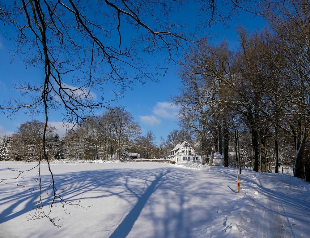 Pension Haus Am Walde Schmallenberg Kültér fotó
