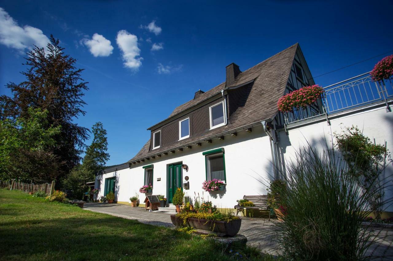 Pension Haus Am Walde Schmallenberg Kültér fotó