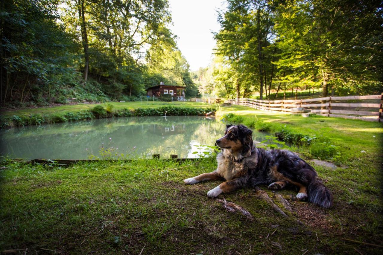 Pension Haus Am Walde Schmallenberg Kültér fotó