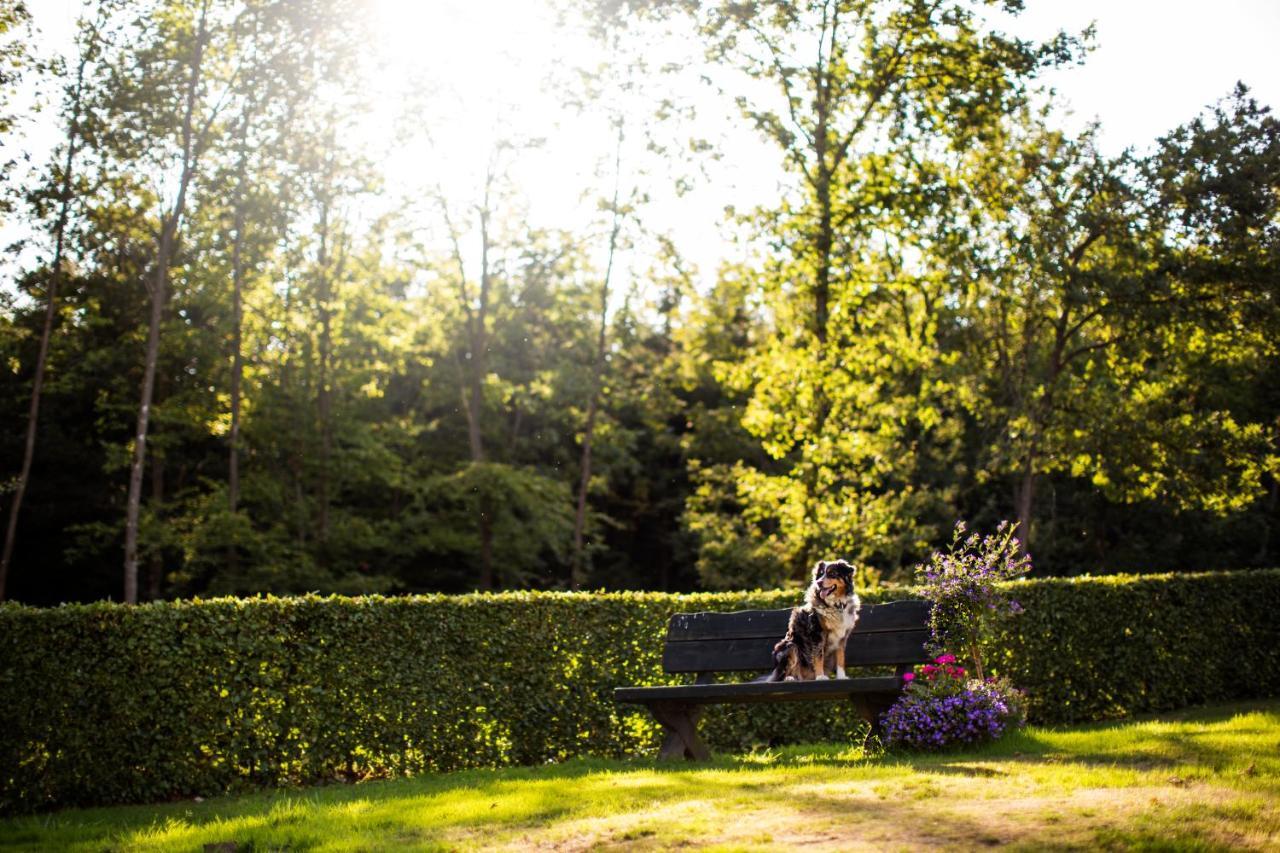 Pension Haus Am Walde Schmallenberg Kültér fotó