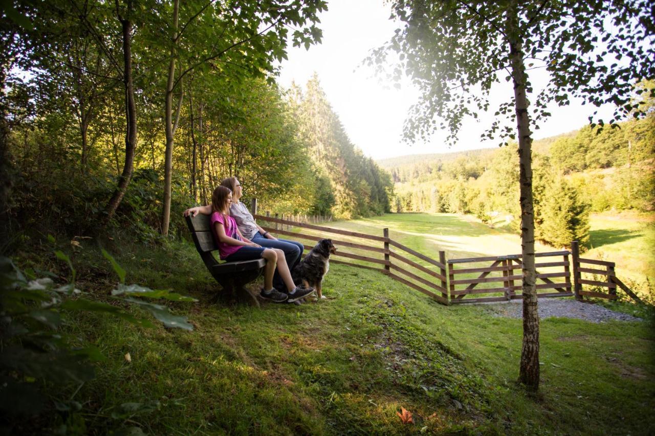 Pension Haus Am Walde Schmallenberg Kültér fotó